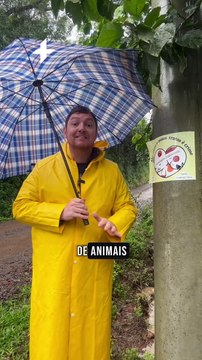 Abandonados para morrer : ABC nas ruas atende apelo de protetores de animais preocupados com número de cães abandonados em Novo Hamburgo