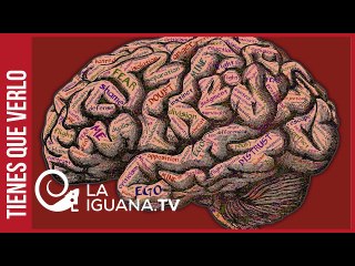 Las escandalosas imágenes del exdiputado y mano derecha de Guaidó con narco capturado en Colombia