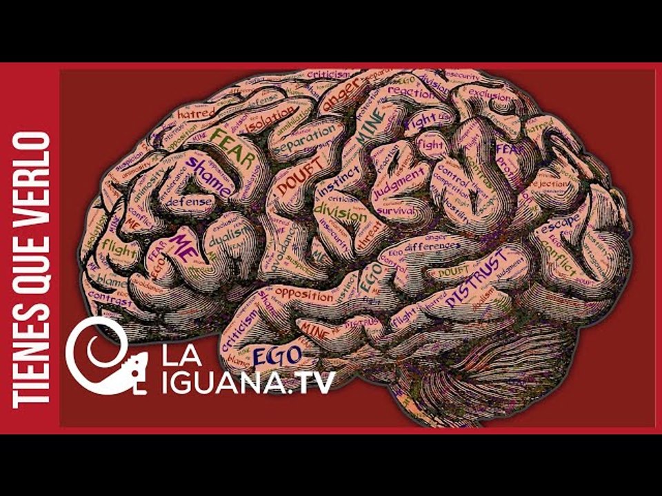 Las escandalosas imágenes del exdiputado y mano derecha de Guaidó con narco capturado en Colombia