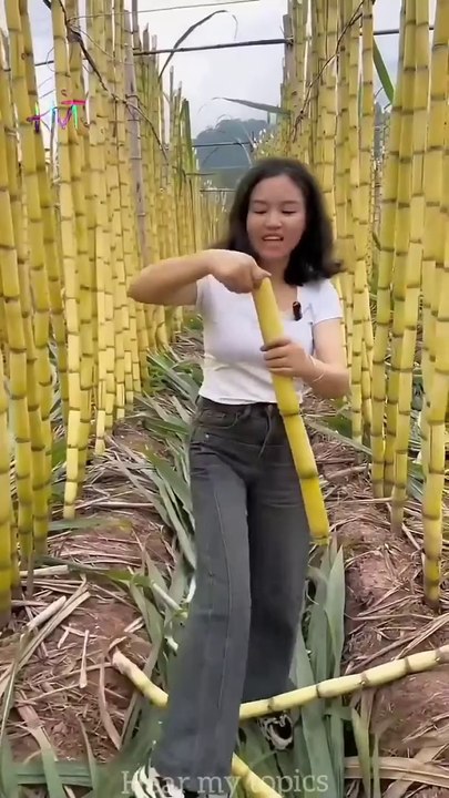 #China fruit
