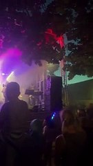 Orchestre Clin d'Oeil  Captivating Musical Show  French National Day  #music #musica #show (3)