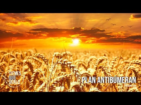 Venezuela anuncia su plan antibúmeran para enfrentar efectos de las sanciones contra Rusia