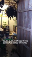 Скачать видео: EM IRECÊ: Polícia desmantela laboratório de drogas e prende traficante