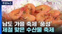 제철 수산물 축제에 비엔날레까지...남도 가을 축제 팡파르! / YTN