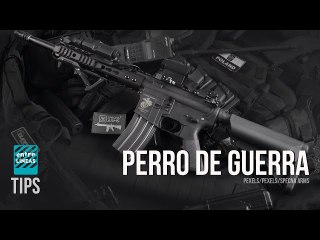 ¿Enviar armas para (+Stontelberg)