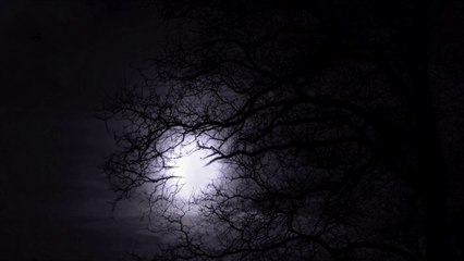 A true story of a person who lived with the jinn