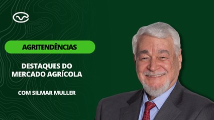 Soja, milho, trigo e café novamente em alta por preocupações com clima adverso