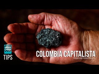 ¿No era chavista?: esta es la propuesta capitalista de Petro para Colombia