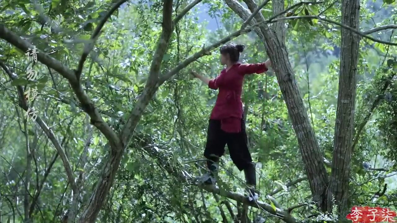 The life of purple rice, pumpkins, and … peanuts紫米南瓜的一生…，还有花生丨Liziqi Channel