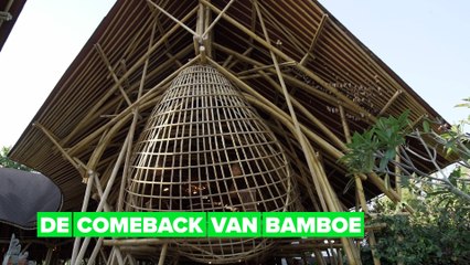 Groene helden: sterke huizen bouwen van bamboe
