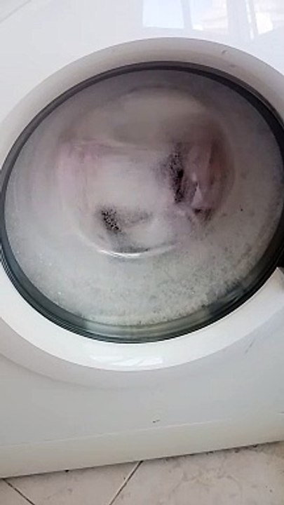 VID_20240904_121040