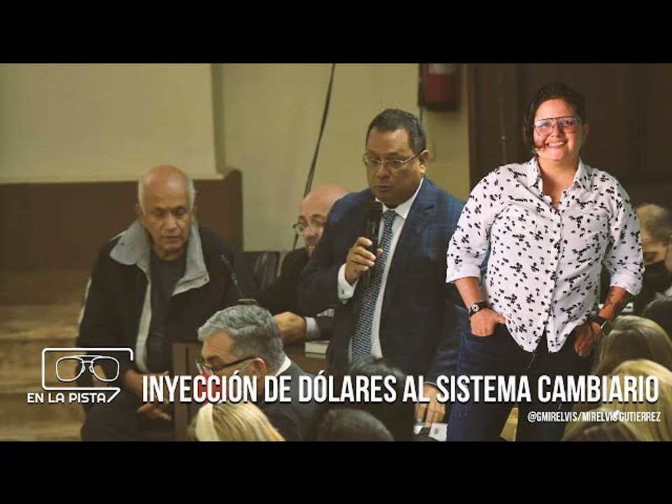 Esto dice fracción de la oposición por inyección de dólares al sistema cambiario