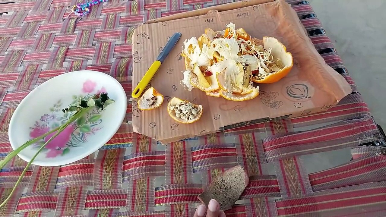How to use kitchen waste wisely l کچن کے کچرے سے کھاد بنانے کا طریقہ