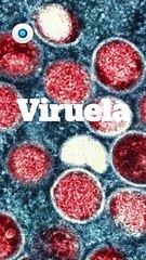 Ingresan ante Cofepris el trámite de registro para vacuna contra Mpox I Reporte Indigo