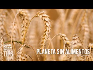 La hambruna mundial paso a paso: Tener el dinero para comprar comida pero que no poder hacerlo