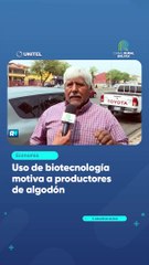 Uso de biotecnología motiva a productores de algodón