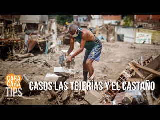 Casos Las Tejerías y El Castaño: ¿Qué podemos hacer?