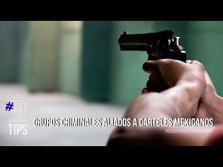 ¿Existen en Venezuela grupos criminales aliados a carteles mexicanos?