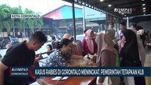 Rabies di Gorontalo Meningkat Hingga Mencapai 581 Kasus Gigitan, 1 Orang Meninggal Dunia