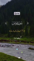 Surah Younis ayat - 61 recitation with Urdu translation
