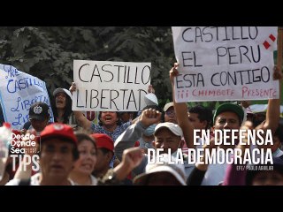 Crisis peruana: ¿Quién está detrás del golpe a Pedro Castillo?