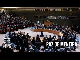 ¿Por qué la propuesta de resolución de paz presentada por Ucrania es una cachetada escandalosa?