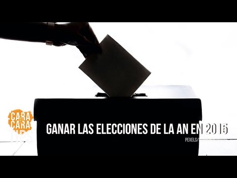 ¿Cuál fue la estrategia de la Unidad Democrática para ganar las elecciones de la AN en 2015?