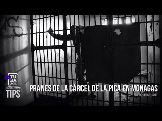 ¿Es posible que pranes de la cárcel de La Pica en Monagas dirijan droga hasta el océano atlántico?