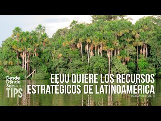 ¡Gringa descarada!: La jefa del Comando Sur y su lista de recursos para saquear en Latinoamérica