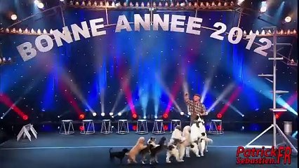 Wolfgang Lauenburger - Dressage de Chiens - Le Plus Grand Cabaret Du Monde