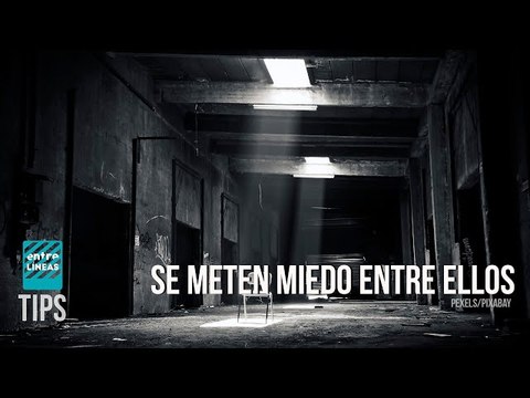 El verdadero destino de las armas enviadas a Ucrania