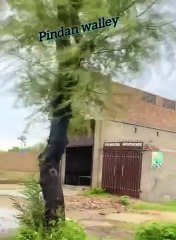 Punjabi culture gaon ka khoobsurat manzar very unique and wonderful village life