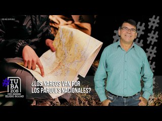 Datos exclusivos de las narcorutas en Venezuela: ¿Cuánta droga se ha incautado?