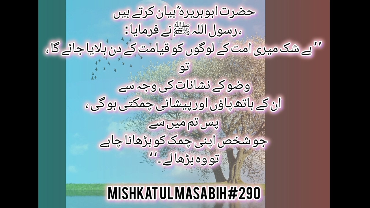 Hadith in Islam | Islamic translation | Islamic books