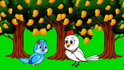 Chidiya Taking Green Screen _ Rano Chidiya Green Screen