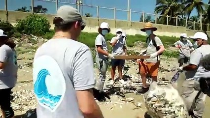 I cleaned world's dirty beaches  #mrbeast #earningmoney #techonology #technicalvideos #videosforearningmoney #experimentsvideos