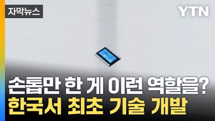 [자막뉴스] 단숨에 계산 성공!...'꿈의 장비' 만든 국내 연구진 / YTN