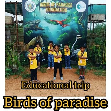 An Educational Trip to Birds of Paradise deepens children's understanding of wildlife Foster's a love for nature and enhance observation and learning skills through direct interaction with bird species.