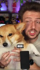 Tinder bientôt remboursé en France par l’état ! #tinder #caf