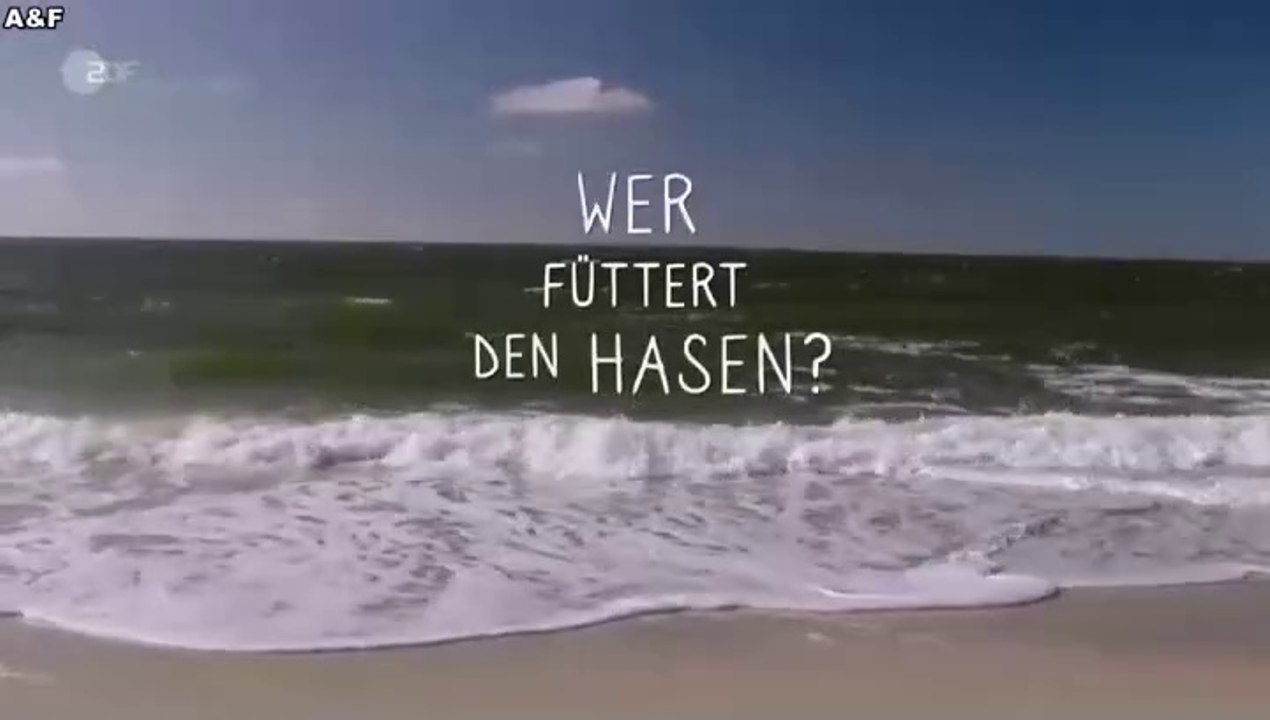 Wer füttert den Hasen