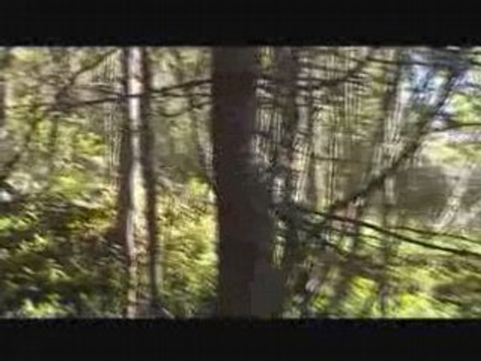 valloire vtt dh 2007