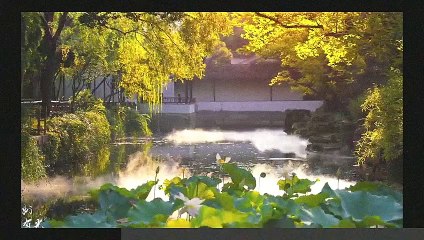 Charming Elegant Courtyard 🌿