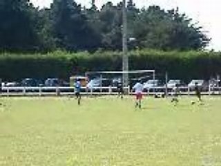 virgule pti pon haris