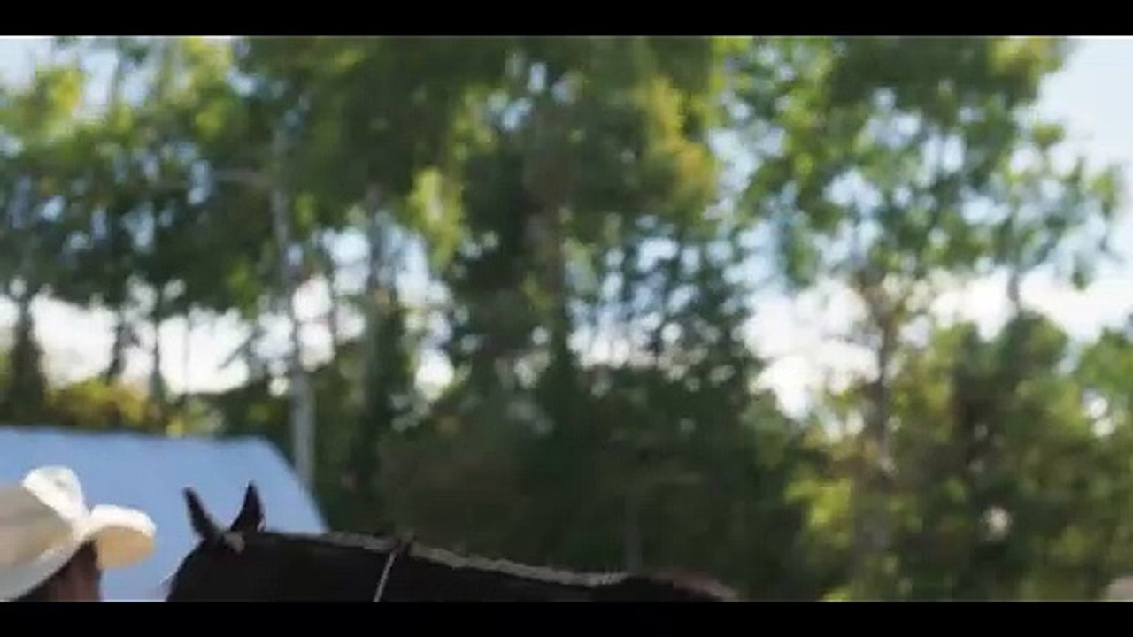 Beyond Black Beauty Trailer OV