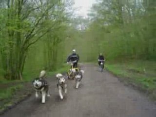 Buff, China et Vicking en kart avril 2008