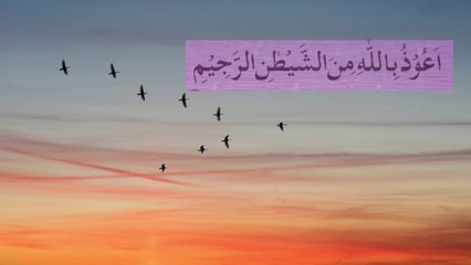 Surah An-Nasr سورة النصر