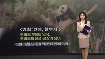 푸바오 사랑 담은 '안녕, 할부지' 개봉 첫날부터 '1위' [앵커리포트] / YTN