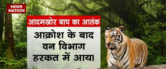 आदमखोर बाघ का आतंक