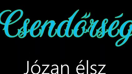 Csendőrség ¦ Józan élsz (hivatalos audió)