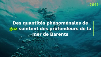 Des quantités phénoménales de gaz suintent des profondeurs de la mer de Barents